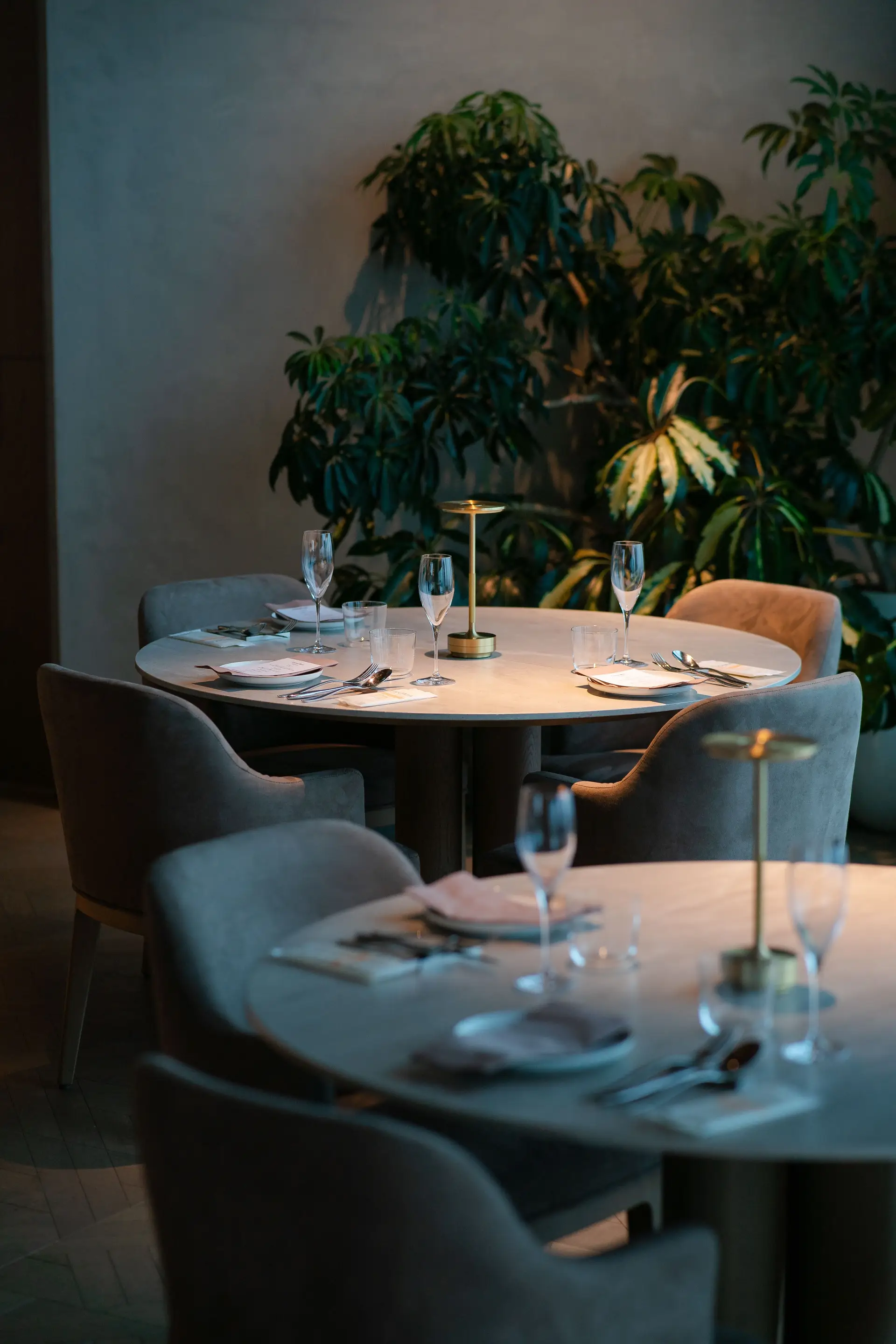 Signature Dining Atmosphere